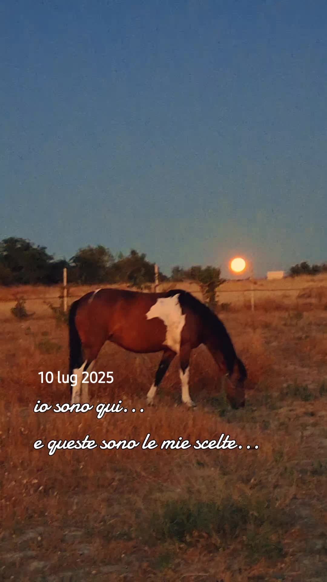 @Annamaria..73