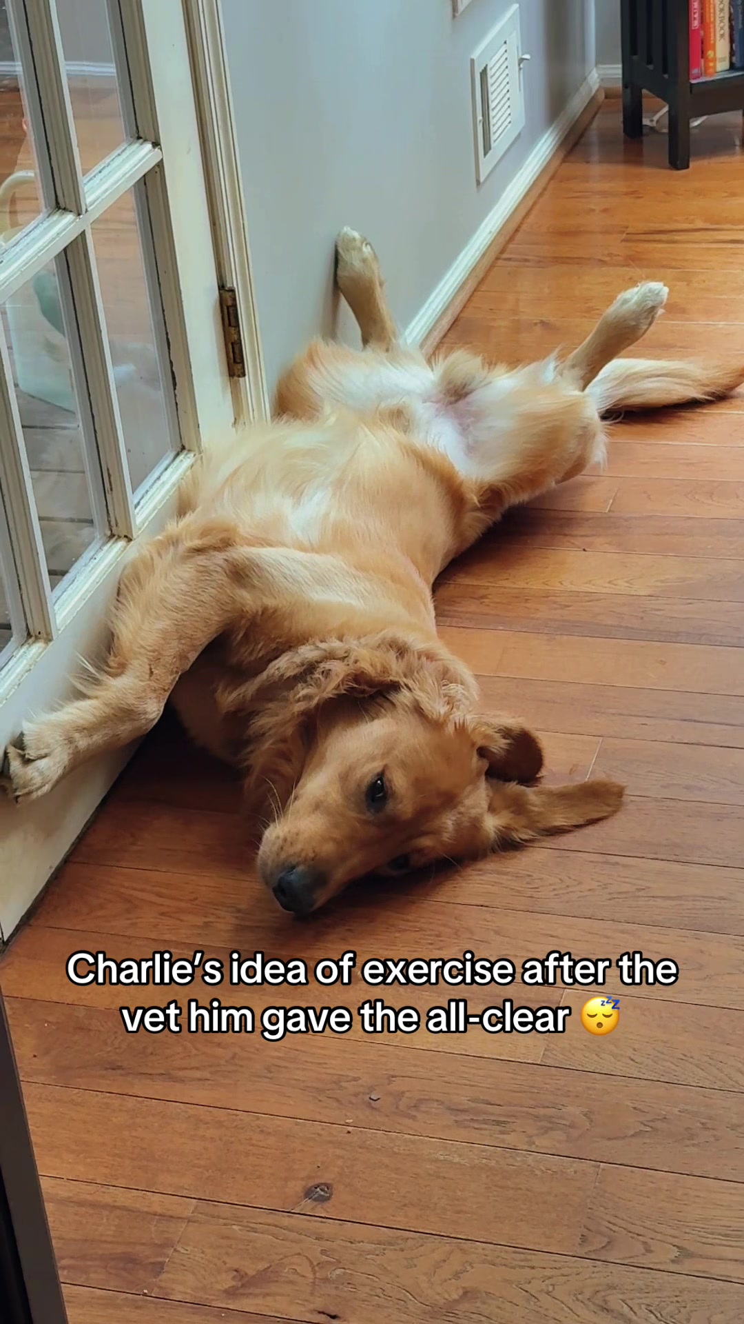 @Charlie the Golden