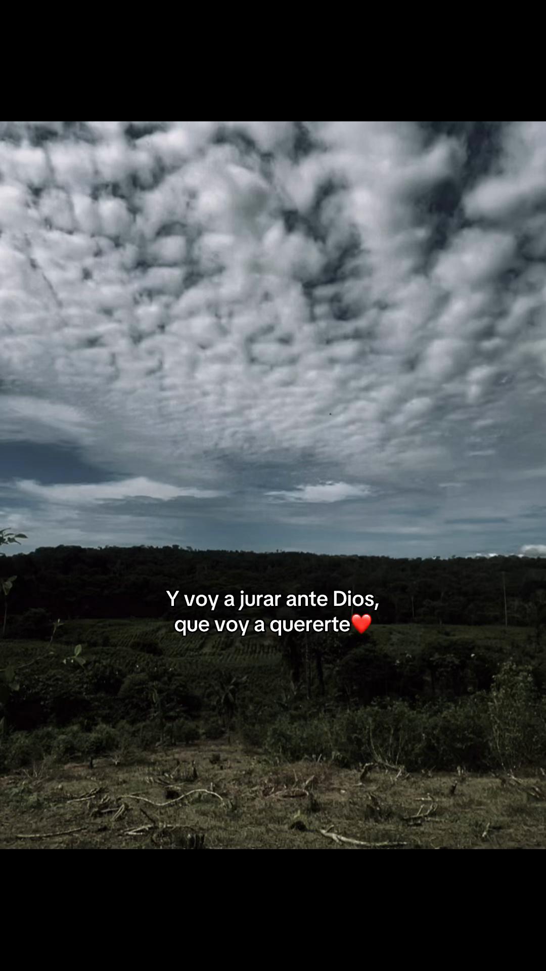 @Daniel Silva