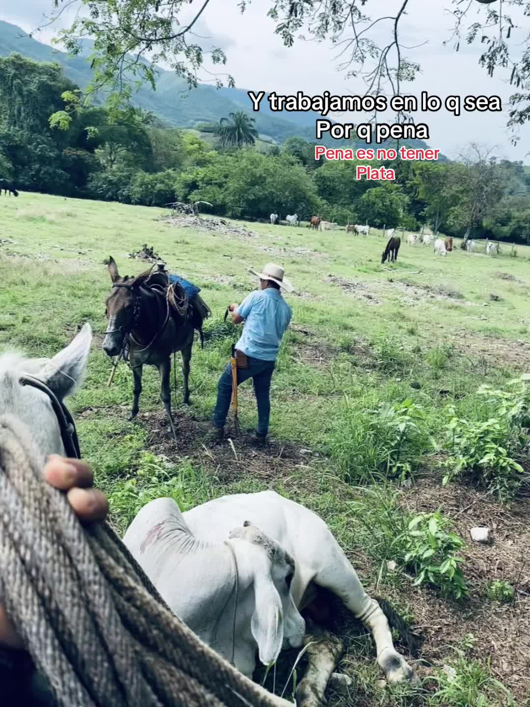 @GUTIÉRREZ_🔞