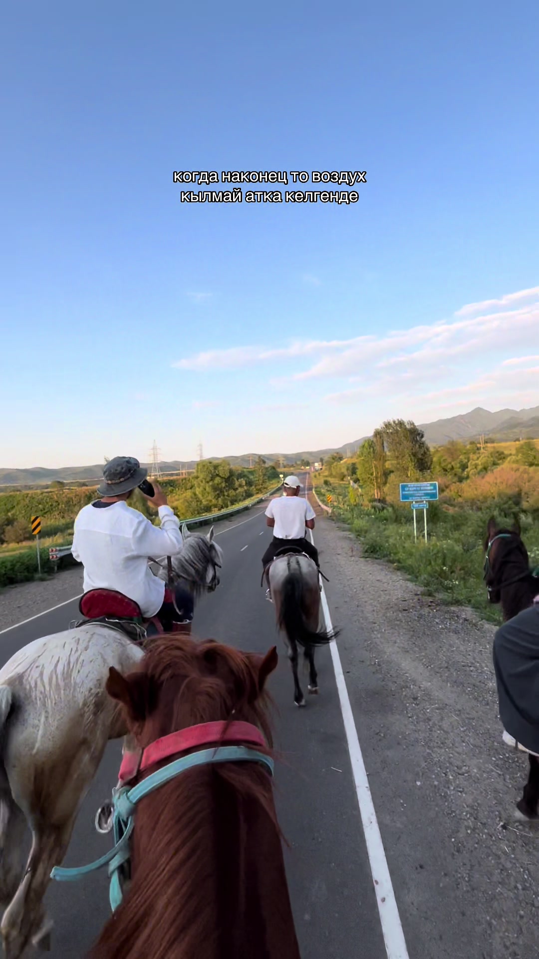 @akshatau_horses