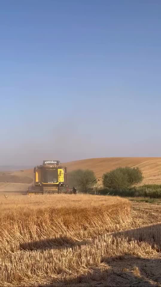 @İsa armağan