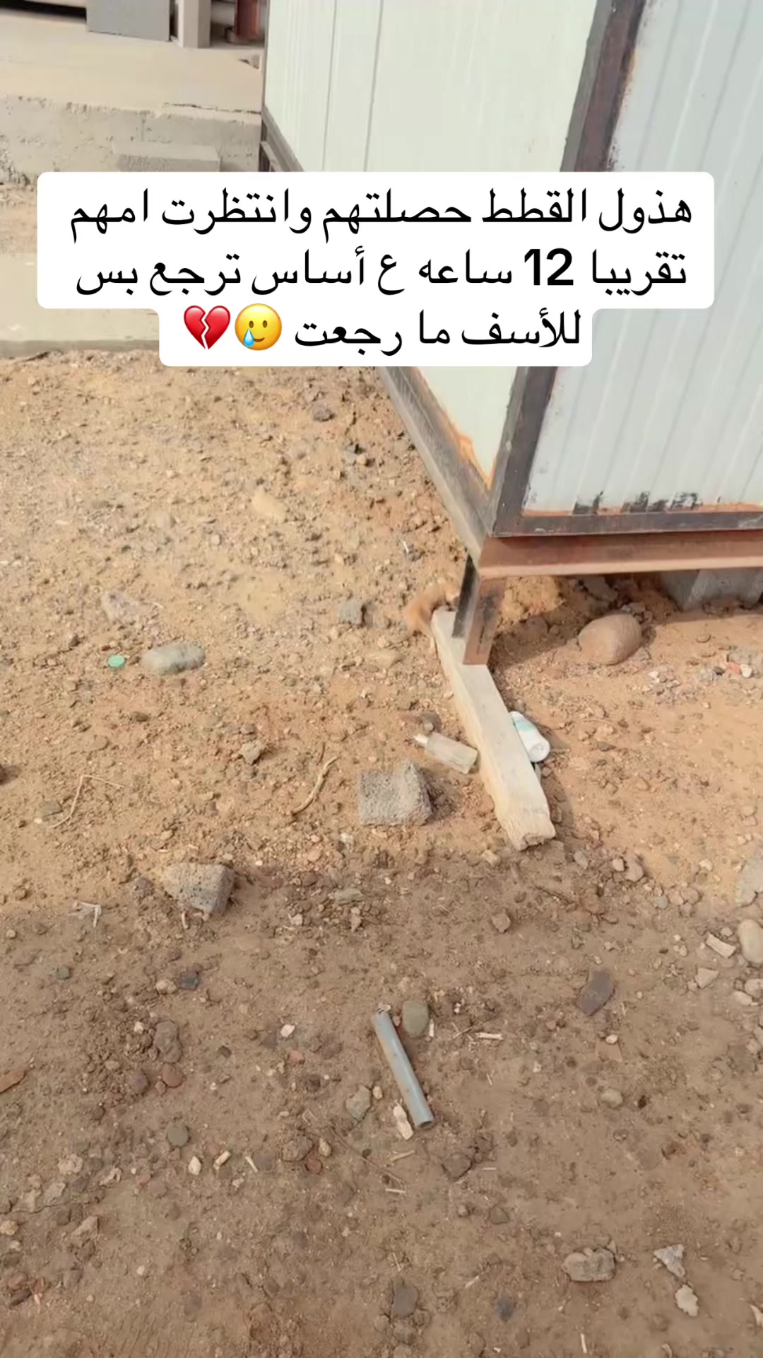 @مـاجـد✨