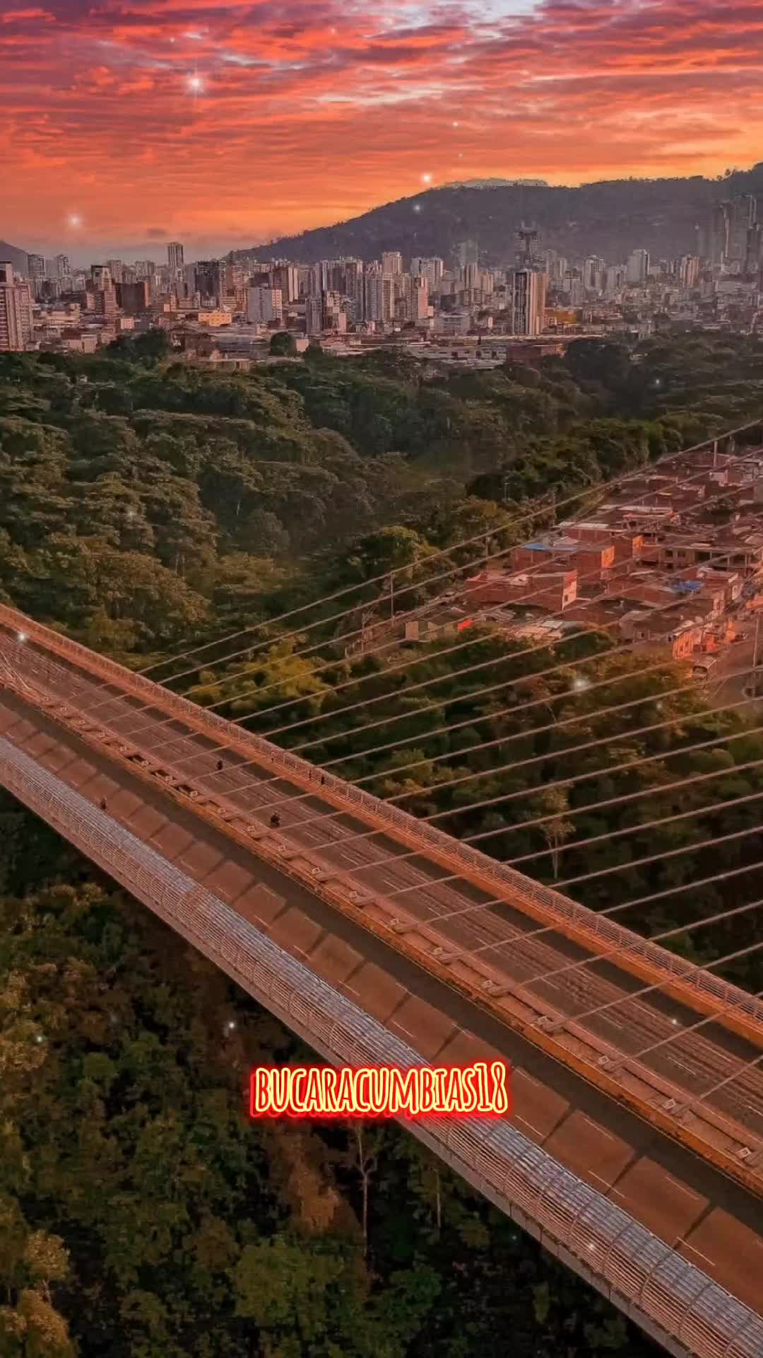 @bucaracumbias18
