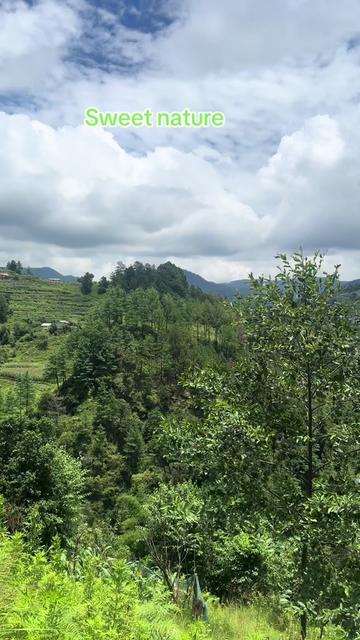 @Adv.Dilip Adhikari