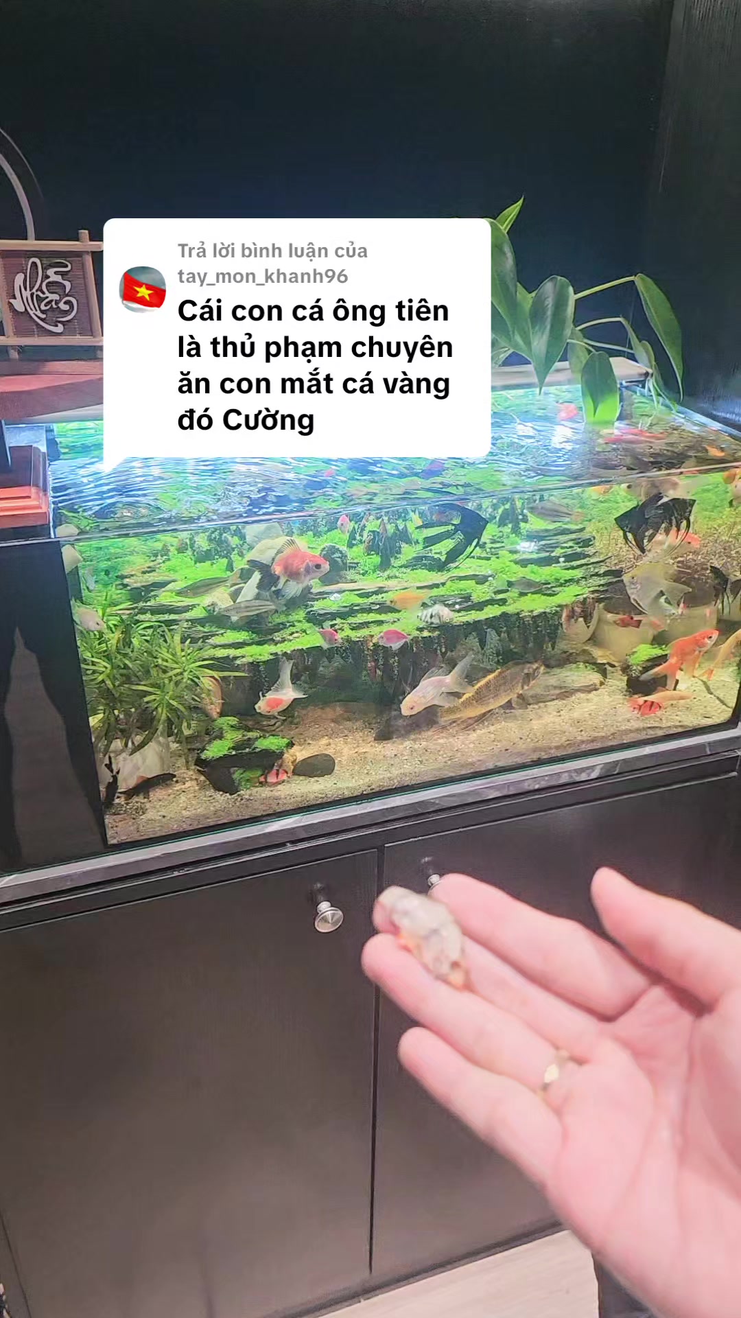 @THẰNG THỢ ĐỤNG