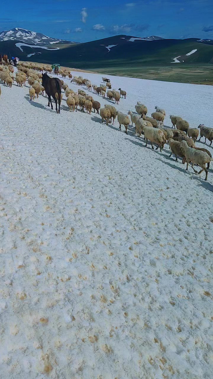 @Yalçın1
