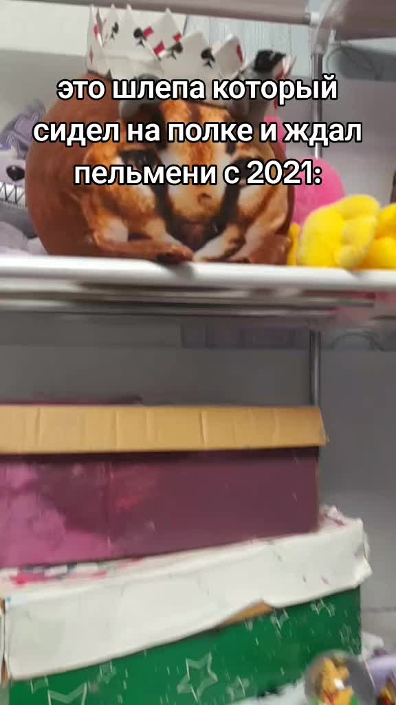 @𝕷𝖎𝖔𝖓𝖊𝖑𝖑𝖆78/ᐠ。ꞈ。ᐟ\🥏
