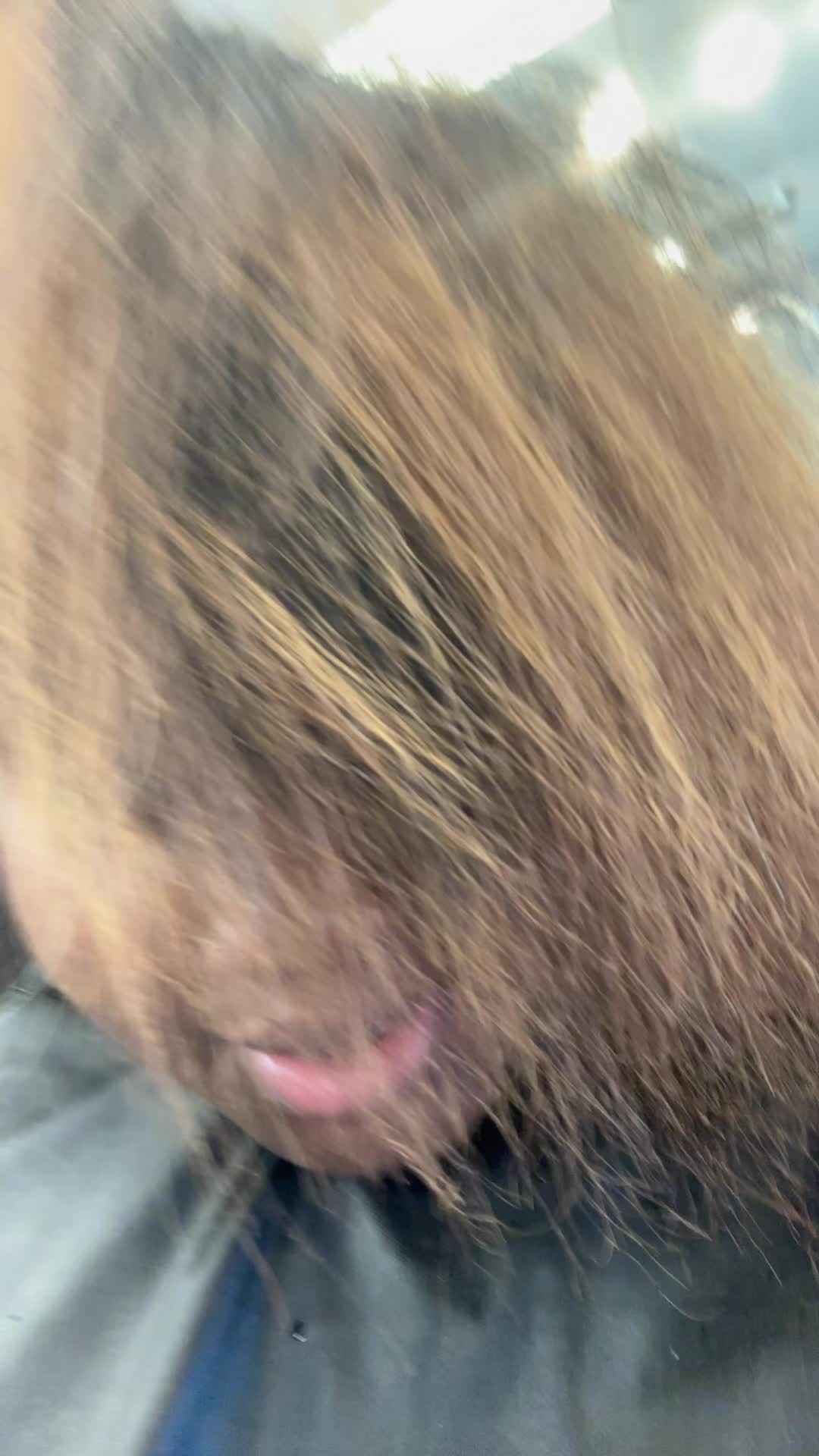 @somerandomgirl_
