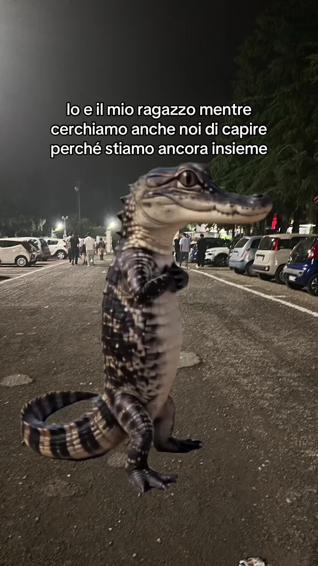 @FRANCESCA CIPO ®