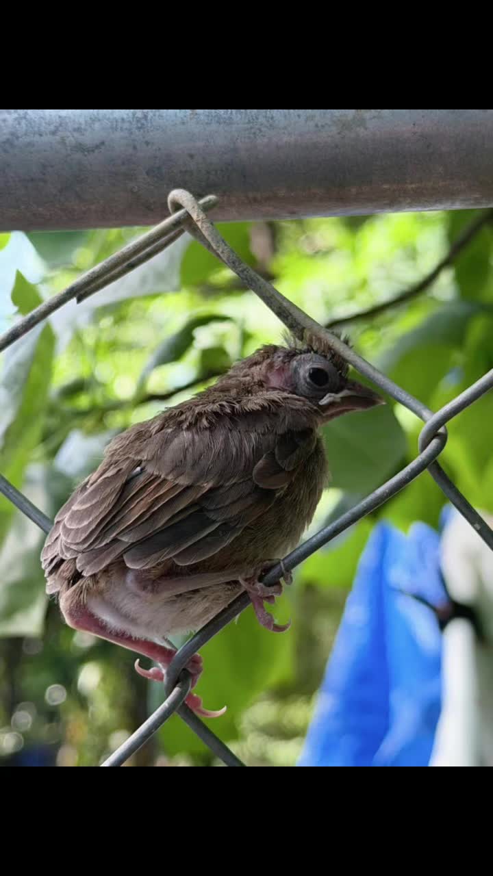 @Natures FanPage