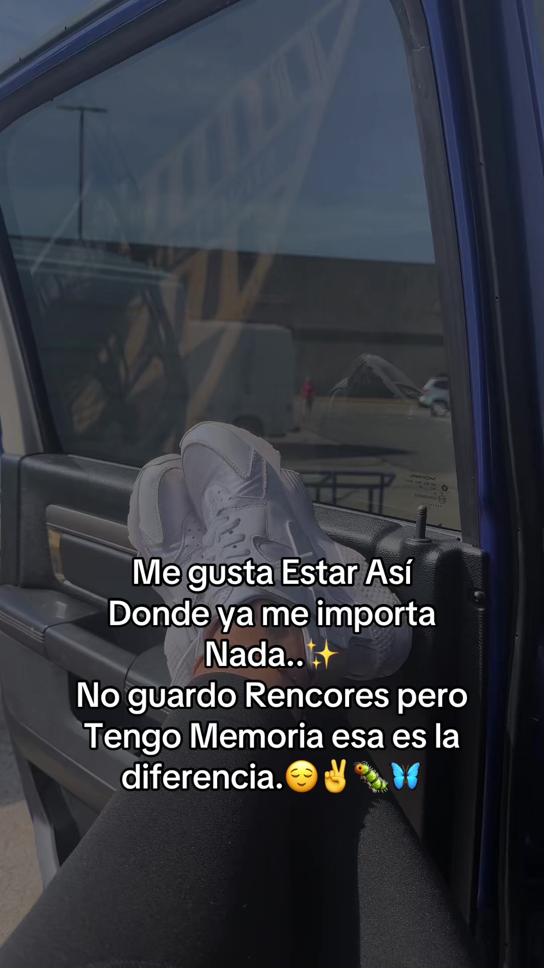 @🌼🌸La Osita 🌸🌼