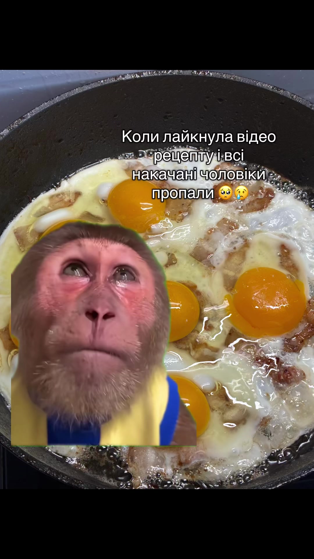 @керуй своїм життям