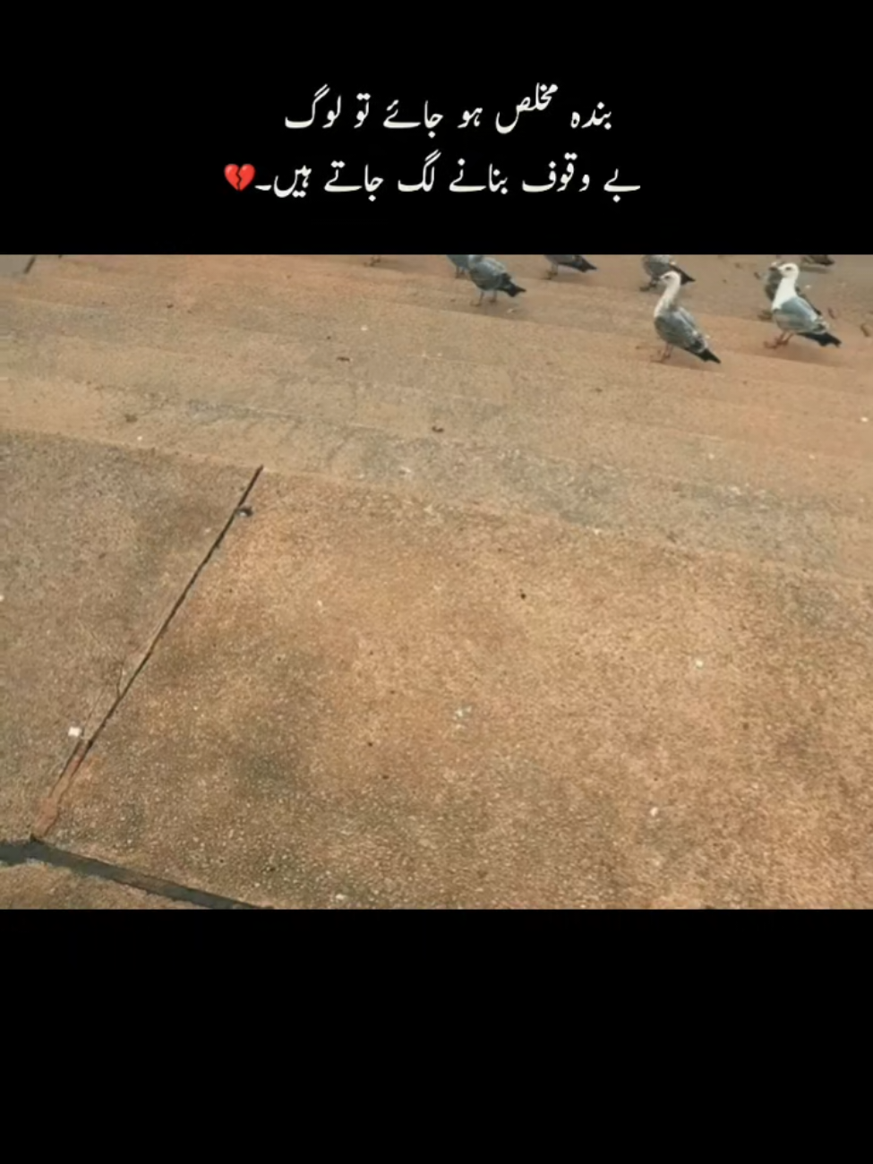 @🦋شرمندہ لڑکا🦋🥺