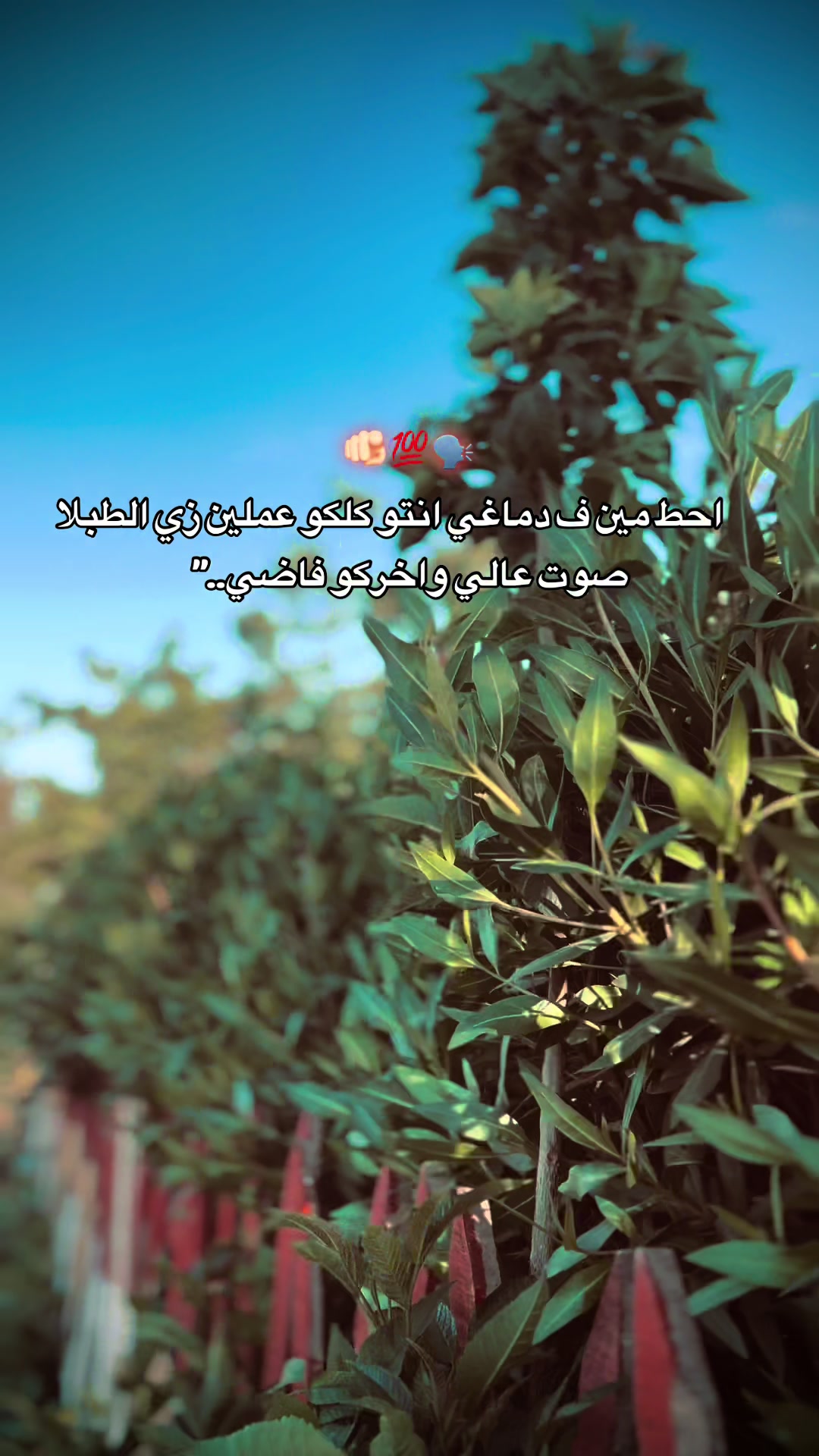 @﮼زوما🐆