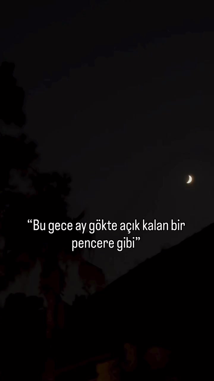 @BiRotanınPeşinde