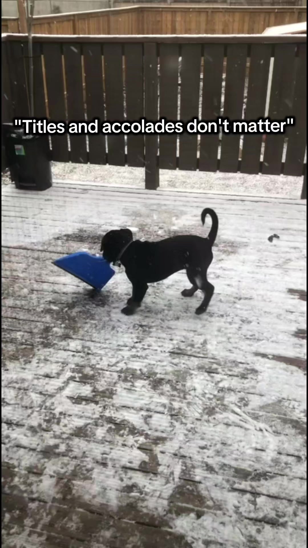 @Kairo's K9s Training 🇨🇦