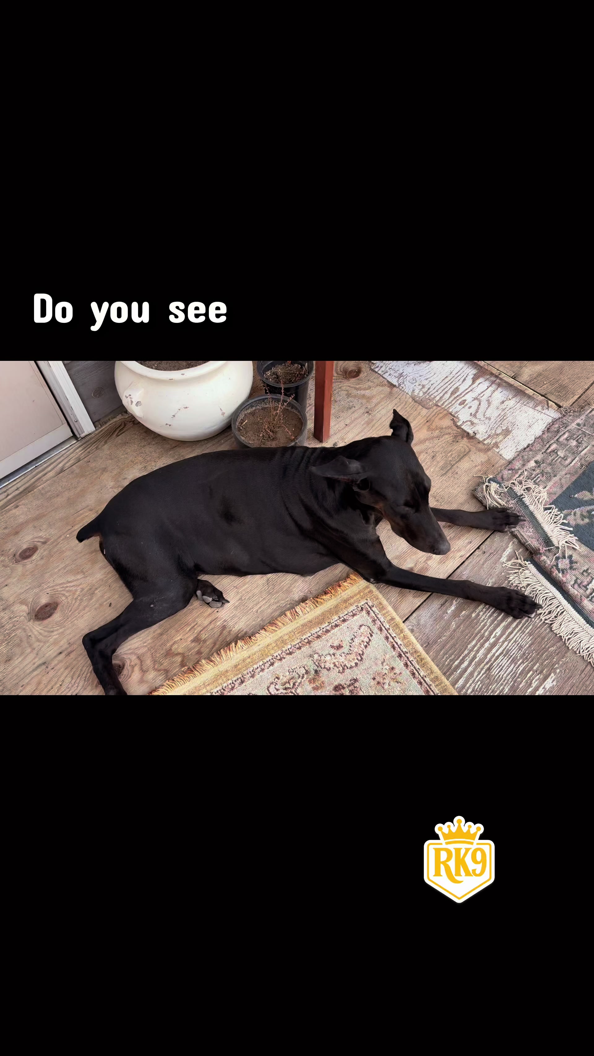 @RighteousK9