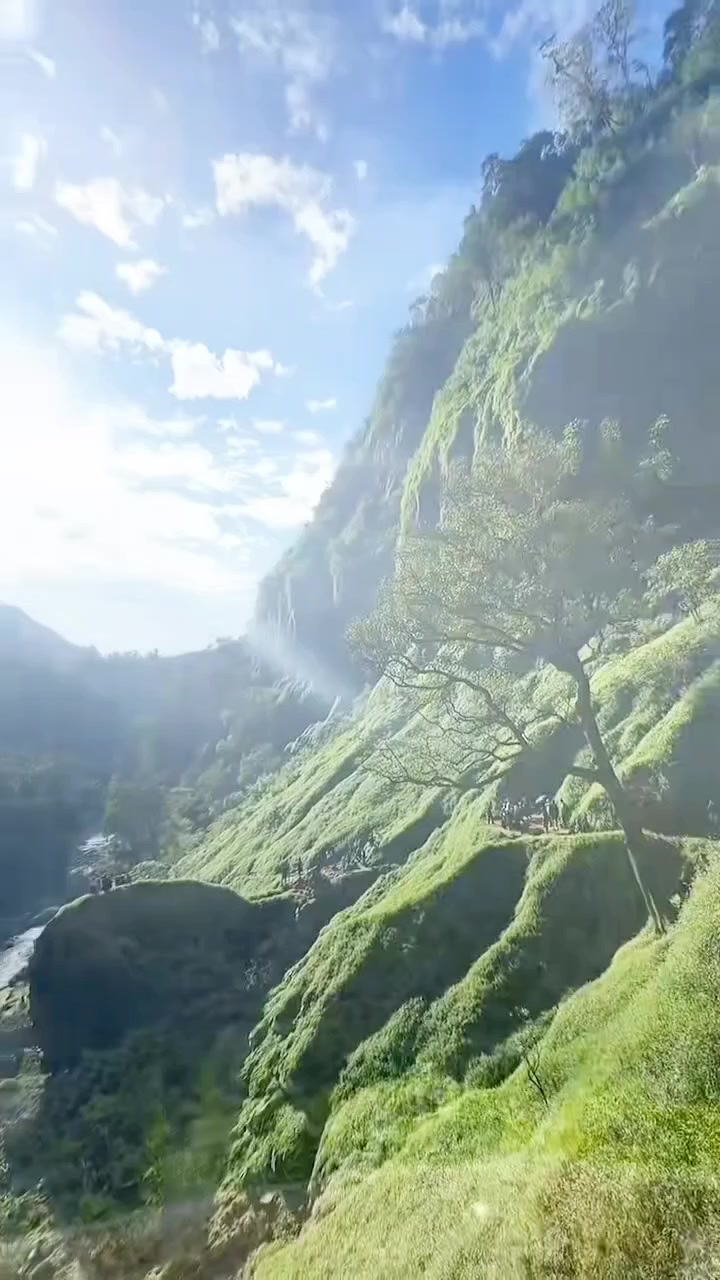 @Lionghoaho