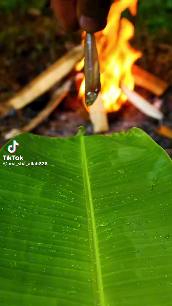 @নিঝুম তারা