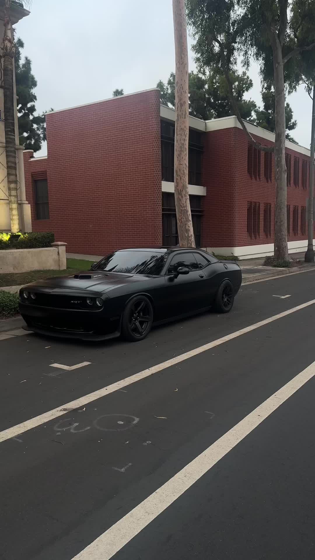 @Srtcam