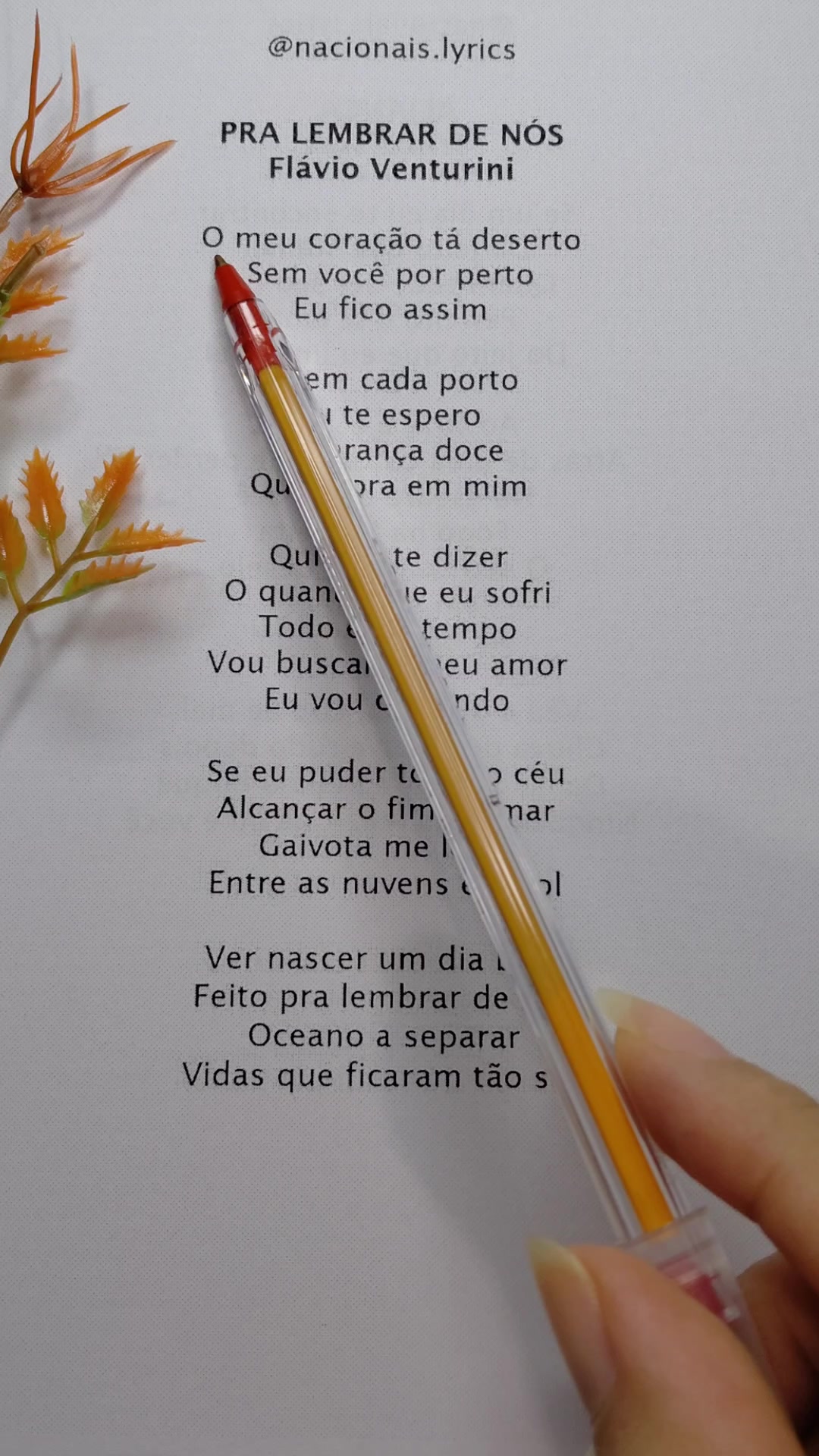 @nacionais lyrics
