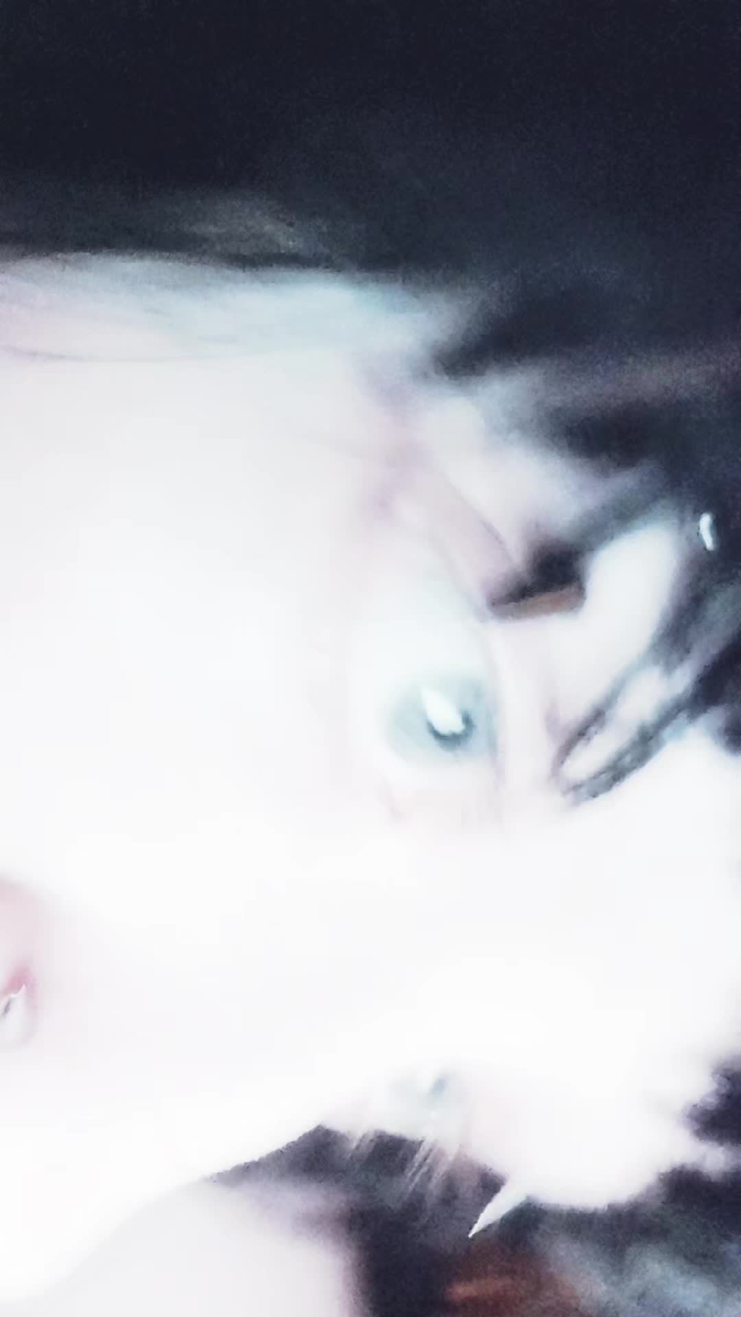 @𝖆𝖕𝖍𝖞 𓃠☾︎