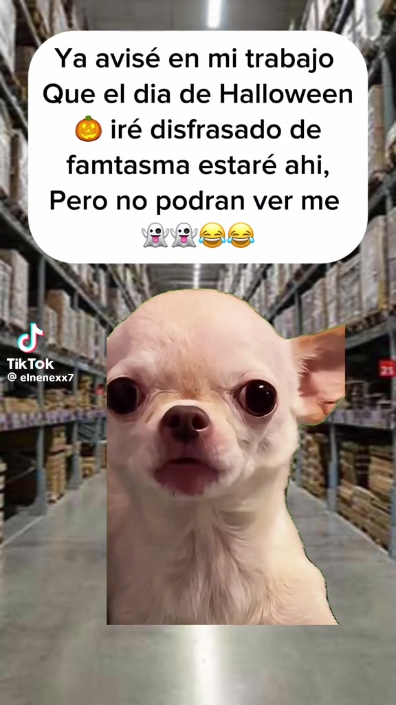 @johannagonzalez595