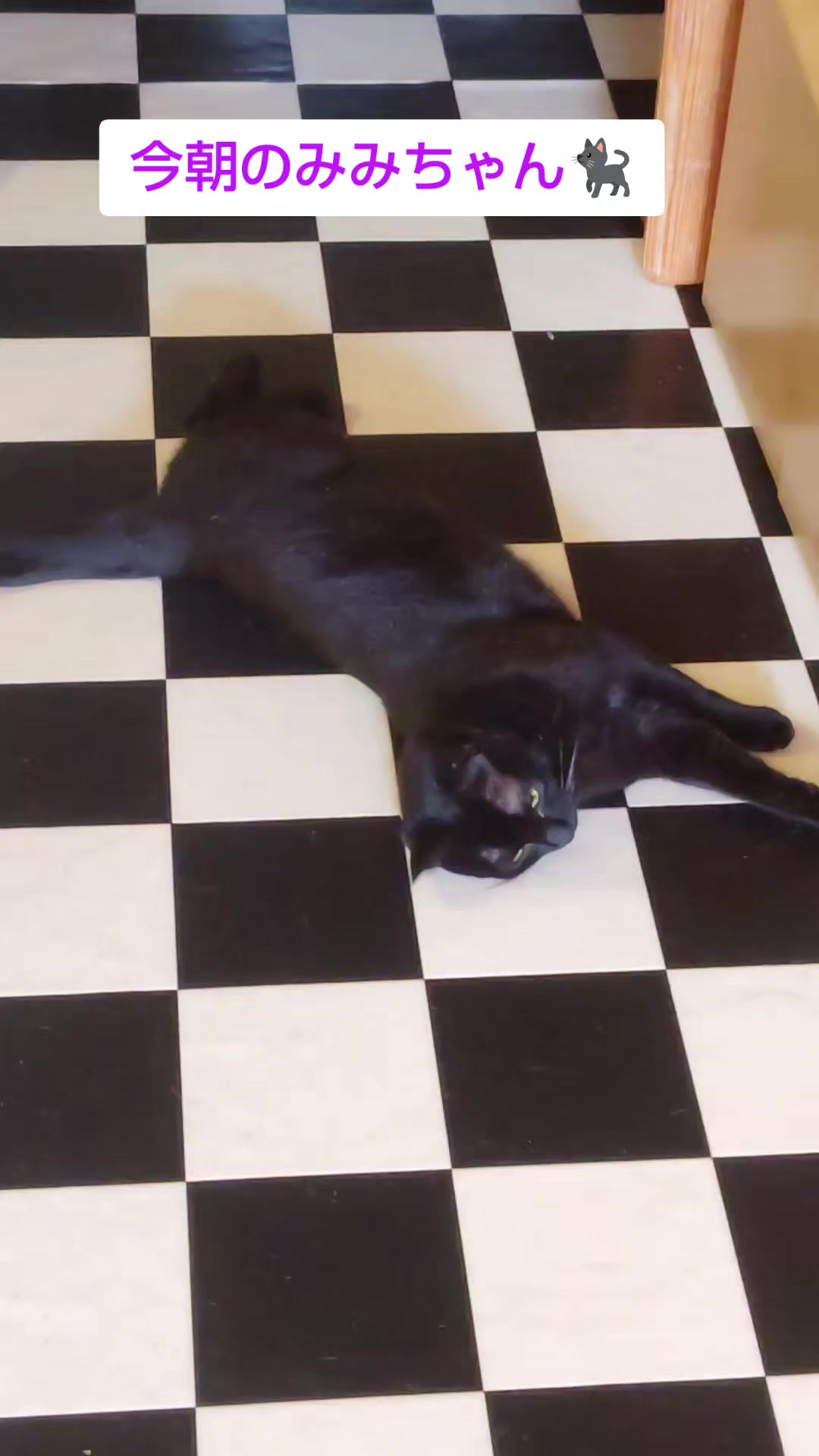 @ðºðžðžðððð¯ðµïœŽïŸïœš