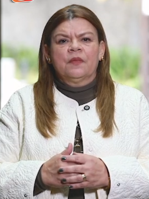 @Amaz&oacute;nica Noticias