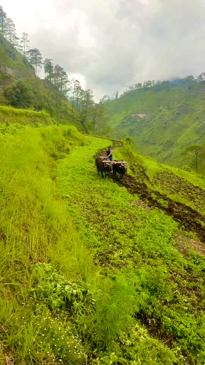 @Kishan Kunwar
