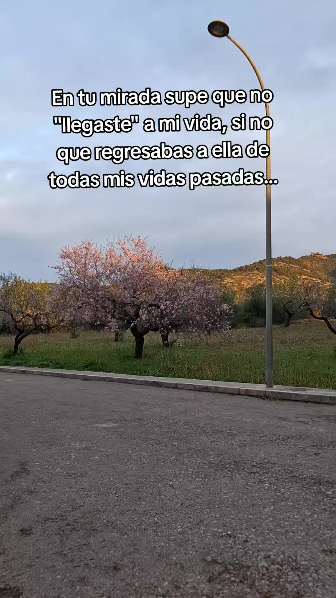 @Asenet 🙃 🤪🌸🍄🍜