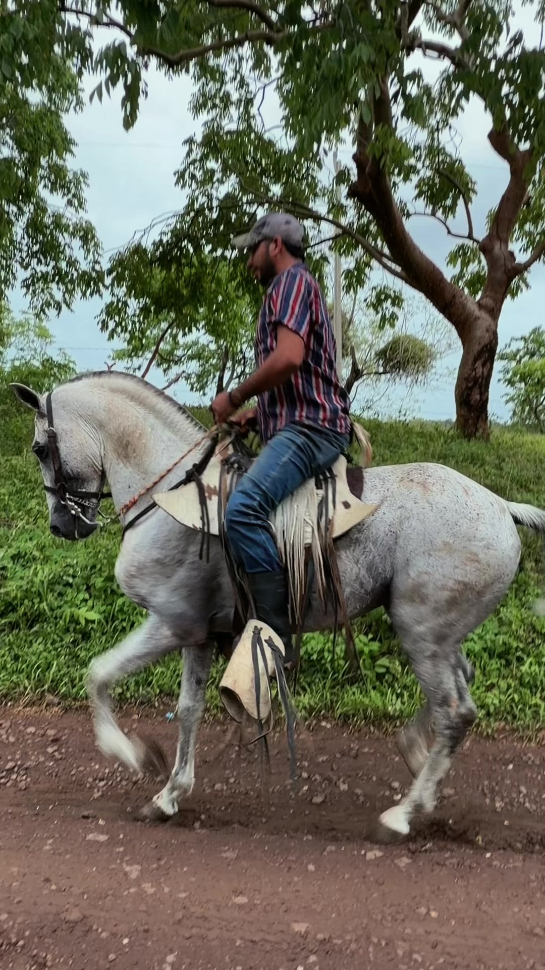 @Onell G. Henríquez