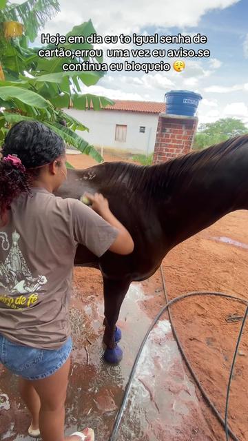@carvalho_622