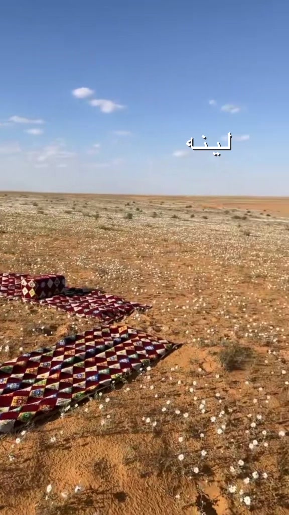 @هـــ  الشمري