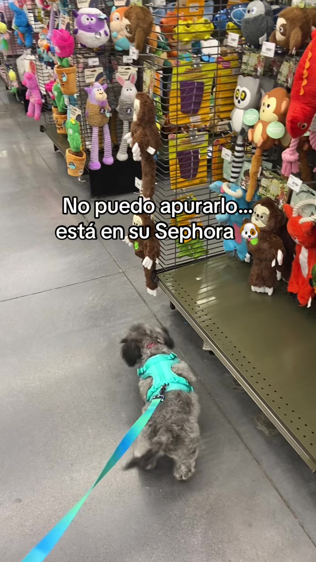 @Paloma Zambrano