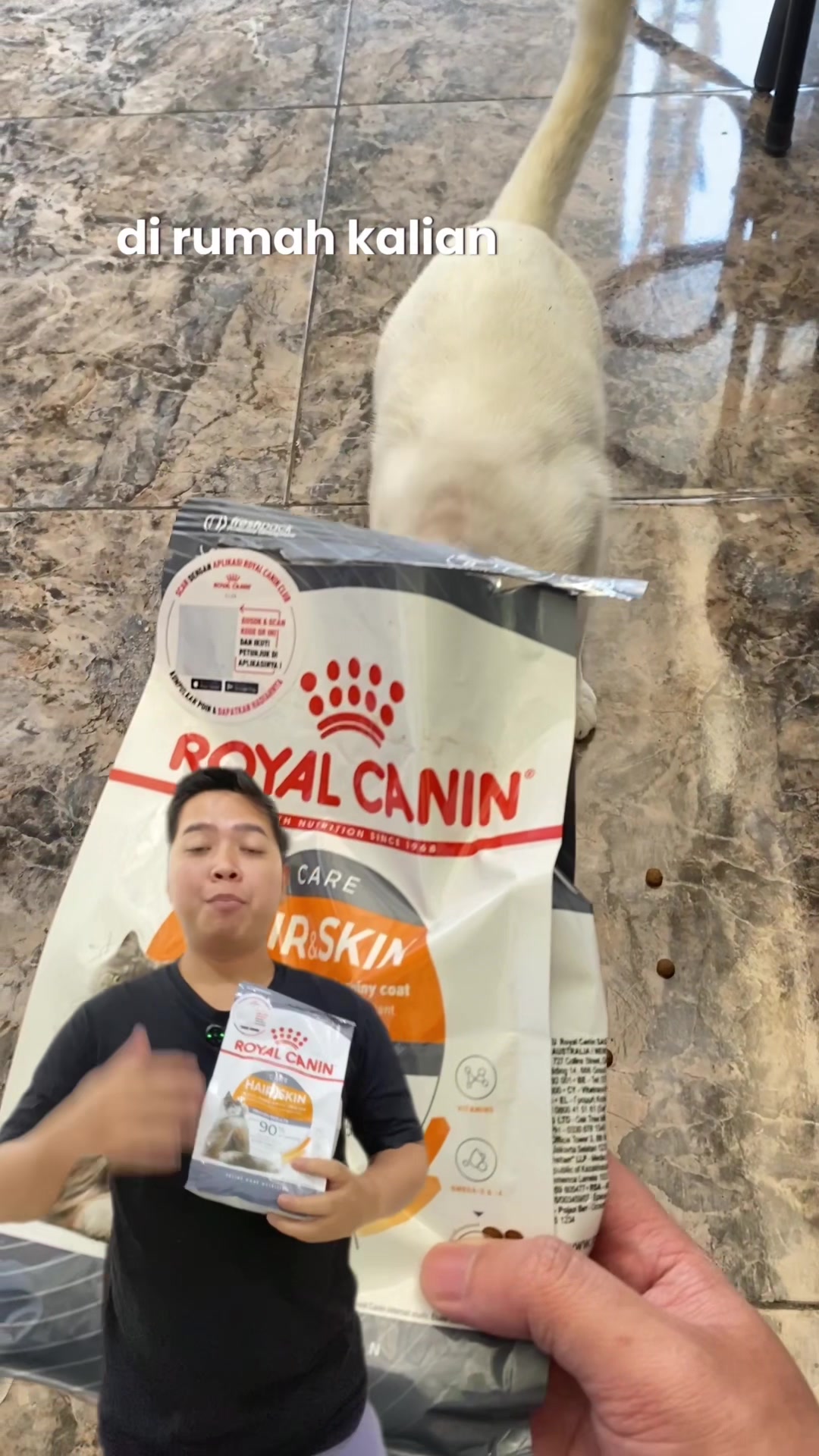 @acalfan0