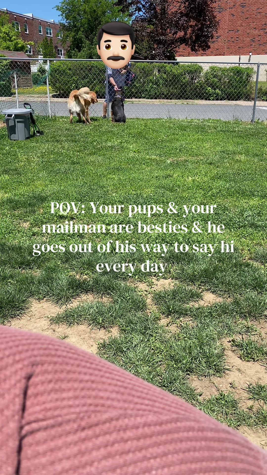 @Jessica 🤍 WFH Dog mom of 2🐶