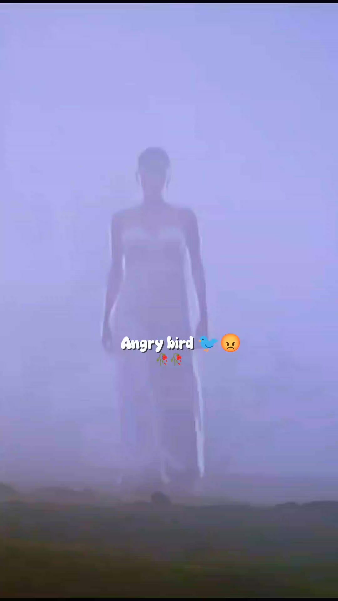 @💫𝖆𝖓𝖌𝖗𝖞 𝖇𝖎𝖗𝖉𝖘💫💥
