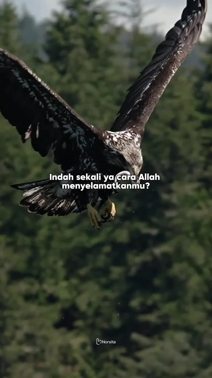 @ᥫ᭡ᴄᴇᴏ_ᴏғ_sᴛᴏʀʏ