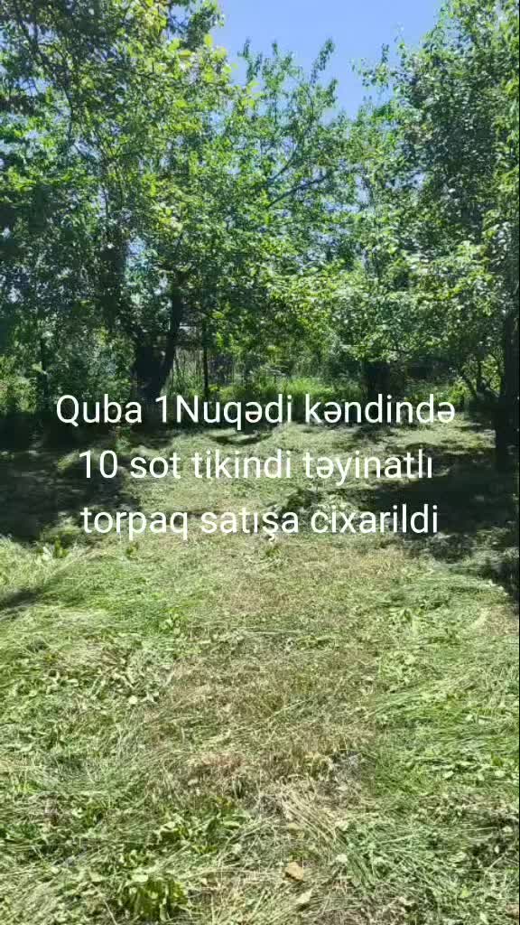 @Feran Mehtiyev