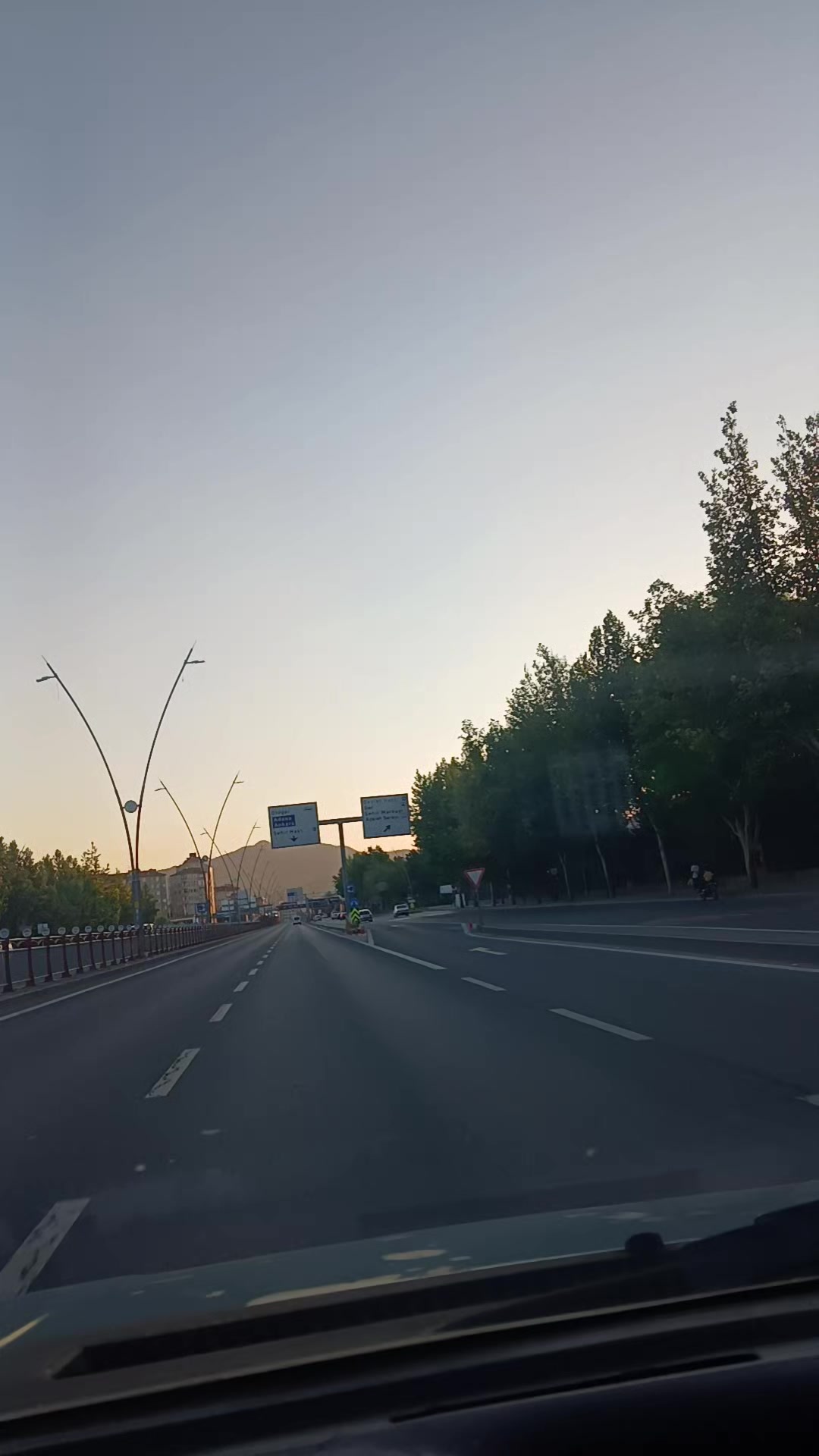 @thadimioglu38
