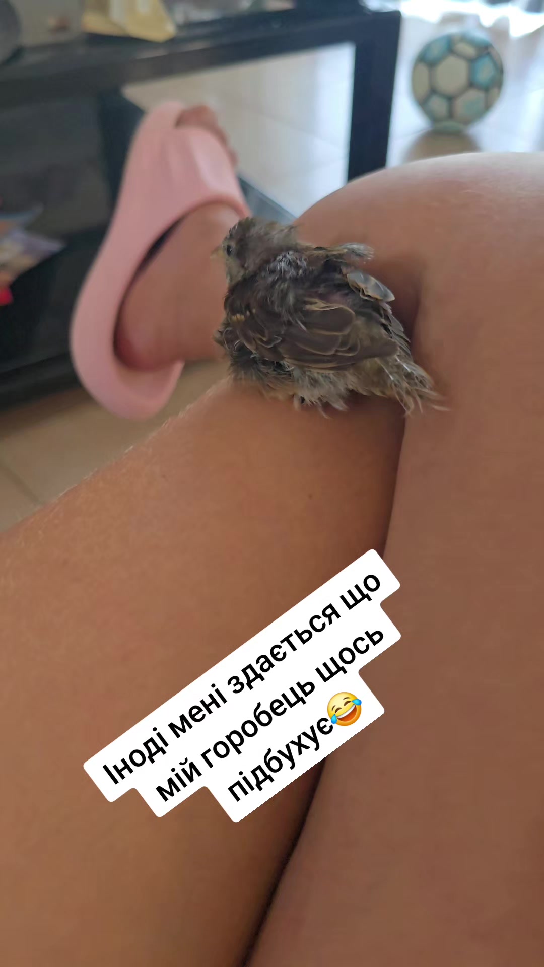 @🇺🇦🇬🇷
