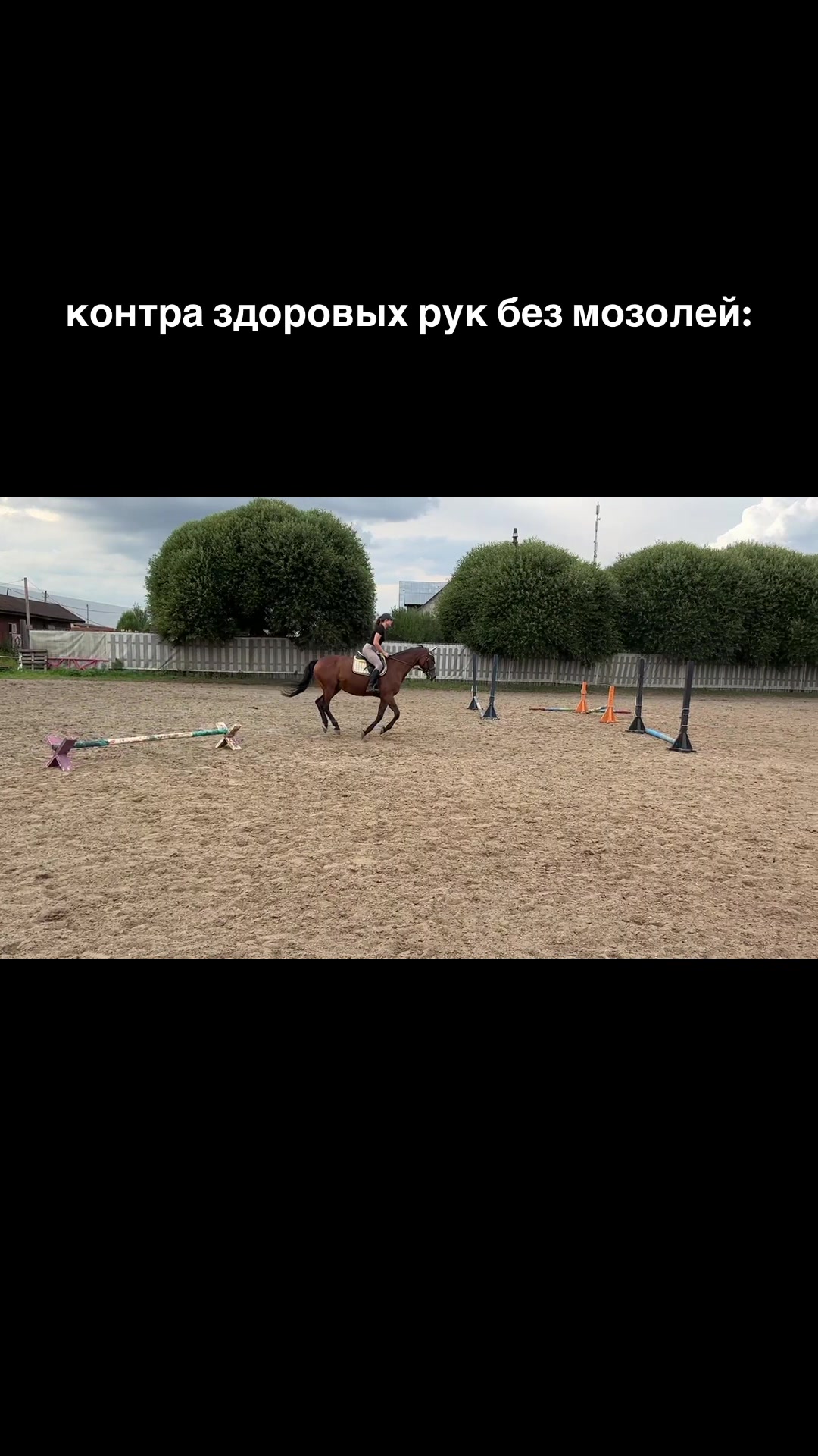@пыликуснул
