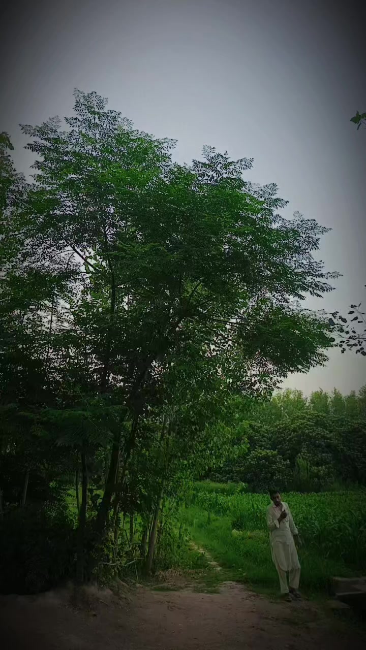 @Mian shahid ullah jan