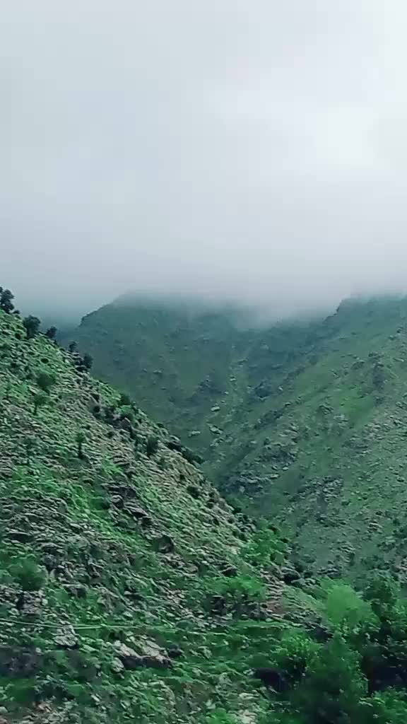@zarbatkhan