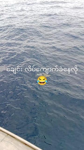 @ထာဝယ်သားလေးကျနော်