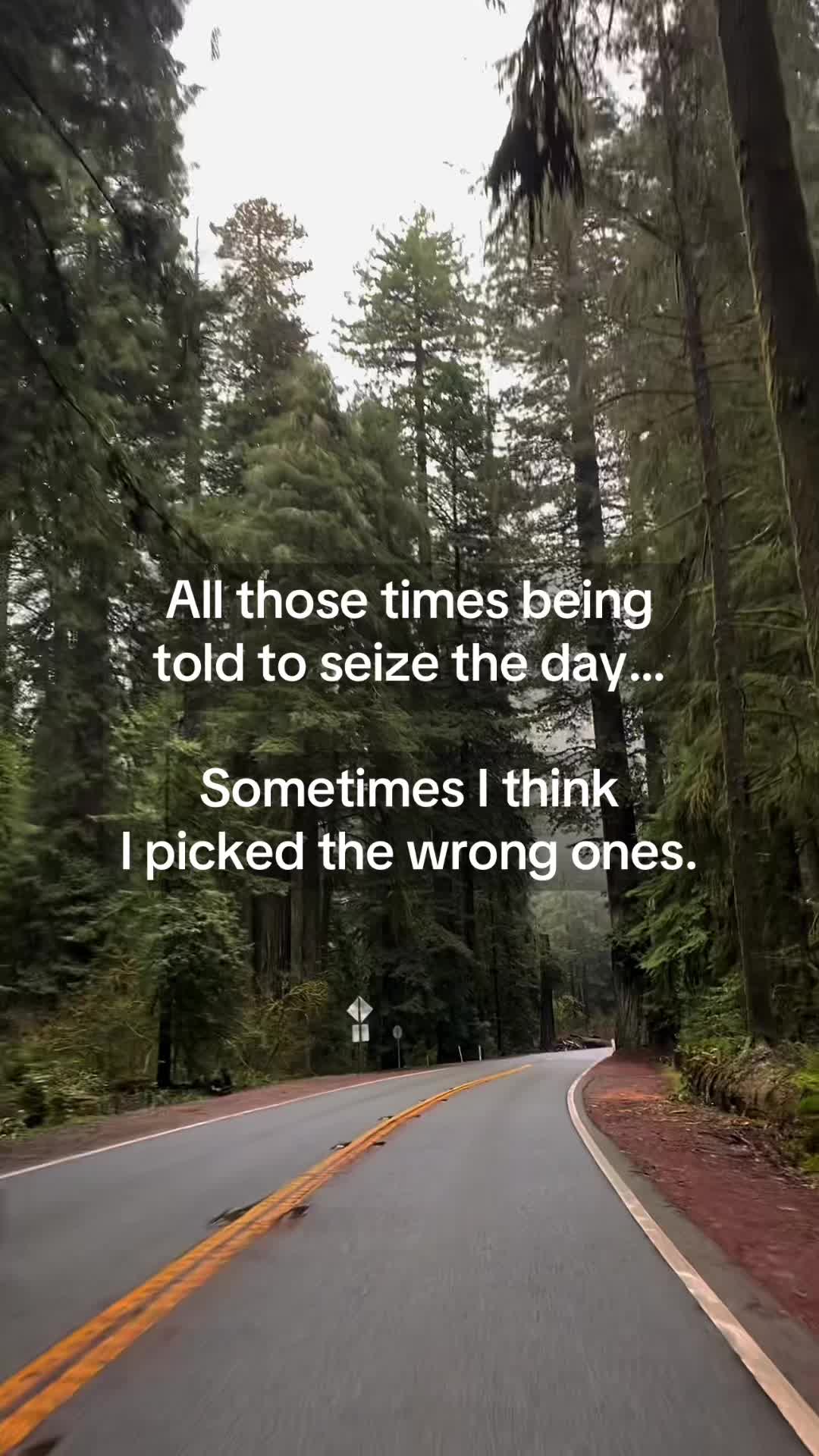 @Ric 206