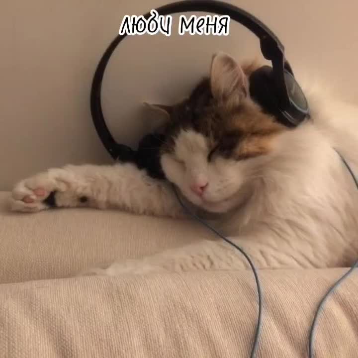 @xD@