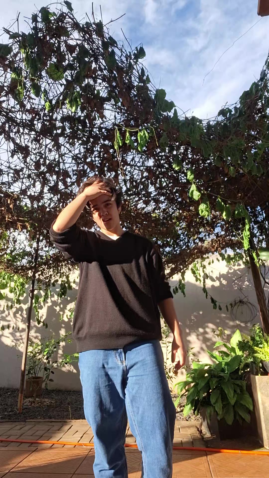 @miguelll